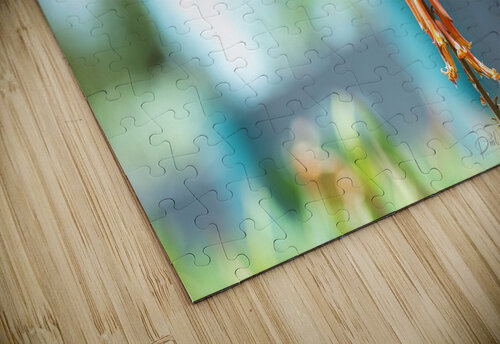 PML 9864 PML Photography puzzle