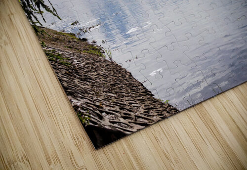 IMG 1930 PML Photography puzzle