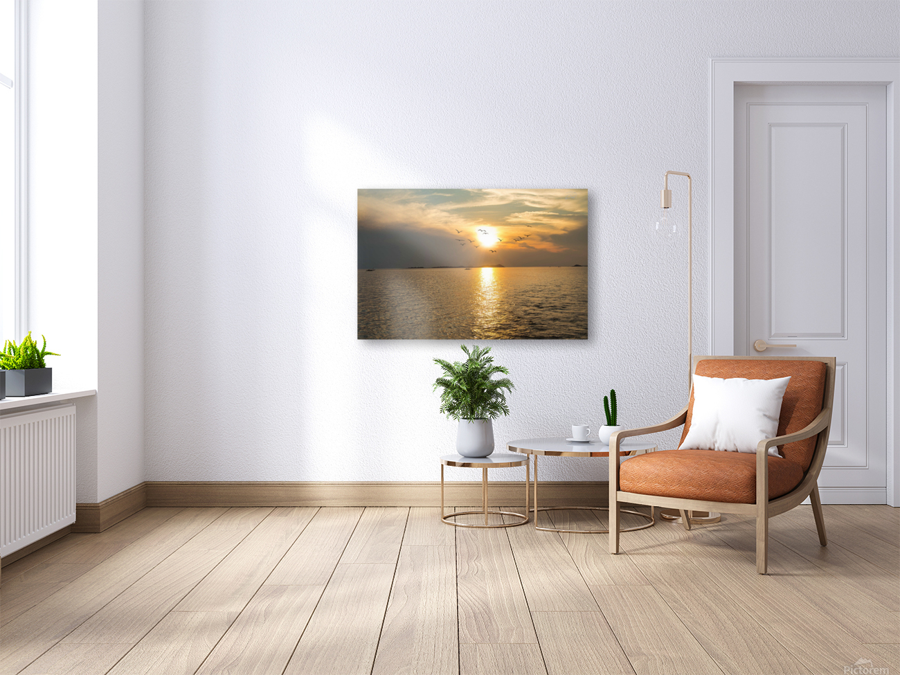 PML 6603 Reproduction