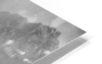 wangu 29 HD Metal print