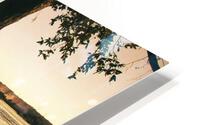 PML Shots HD Metal print