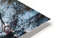 wangu 134 HD Metal print