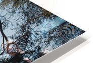 PML 4 2 HD Metal print
