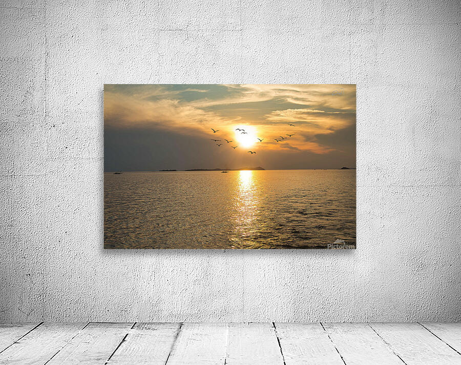 PML 6603 Wall Preview