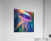 jellyfish Acrylic Print