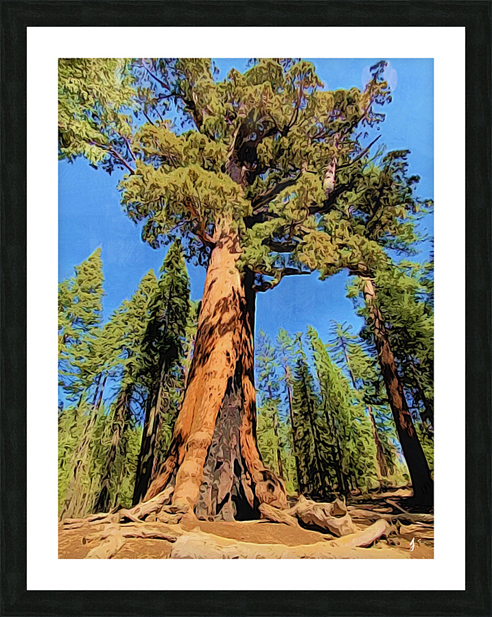Big Tree Energy Picture Frame print