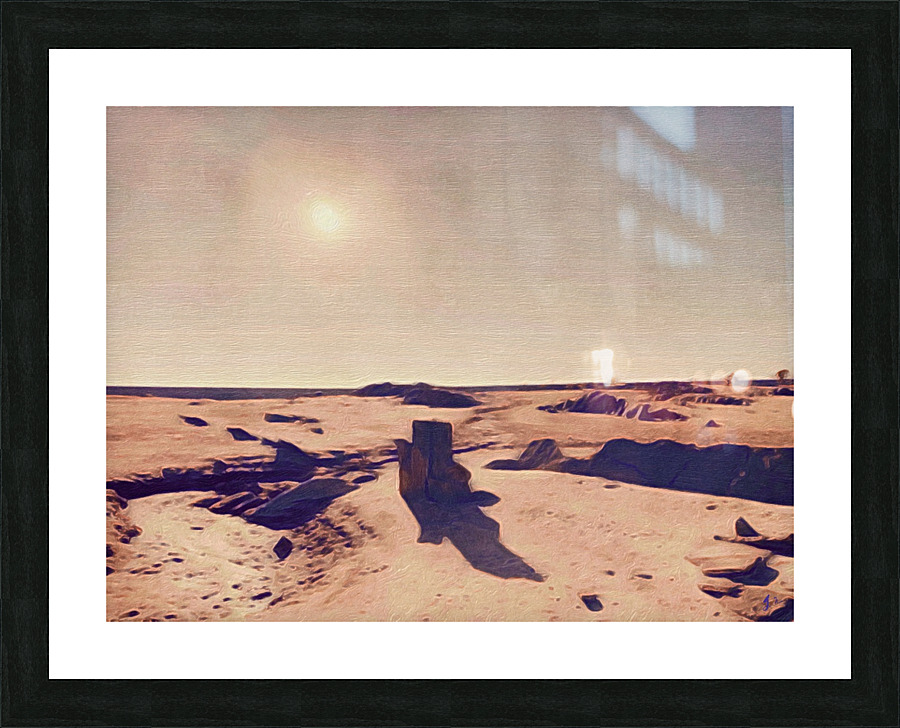 Venus Picture Frame print