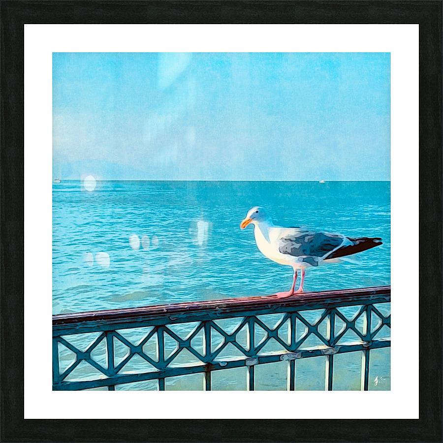 Fly Like a Seagull Picture Frame print