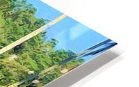 Rice Terrace HD Metal print