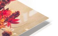 Leaves Fall HD Metal print