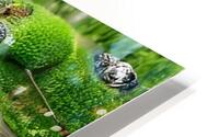 Natural Life HD Metal print
