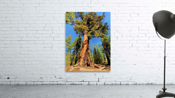 Big Tree Energy Wall Preview