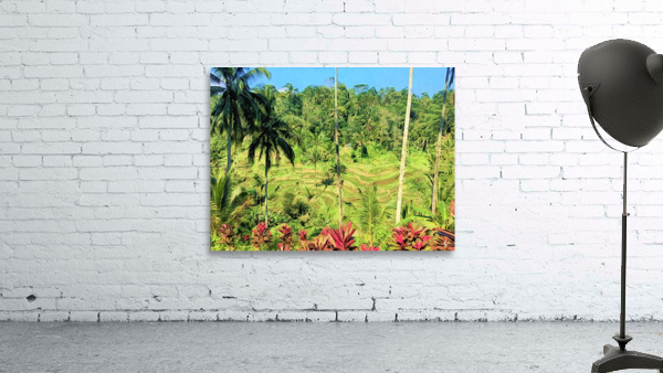 Rice Terrace Wall Preview