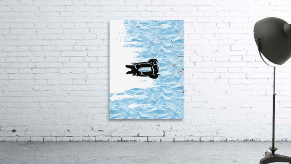 Duck Ninja Wall Preview