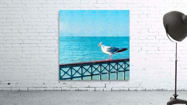 Fly Like a Seagull Wall Preview