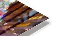 Pine of Light HD Metal print