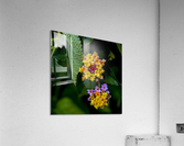 Flora  Acrylic Print