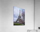 Floral Eiffel tower  Acrylic Print