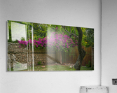 Abandoned House  Acrylic Print