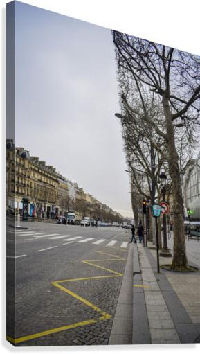 Paris in March Canvas Print