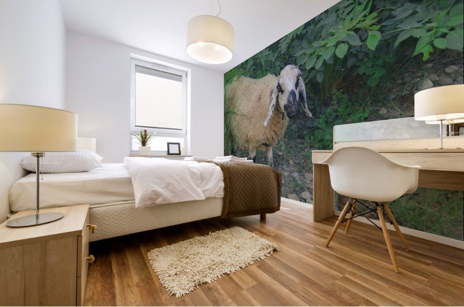 Sheep  Mural print
