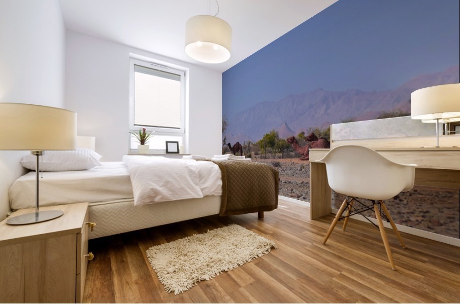 Camel  Mural print