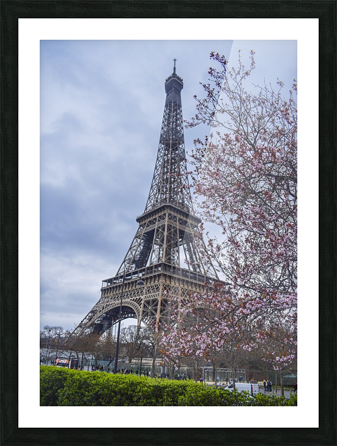 Floral Eiffel tower  Picture Frame print