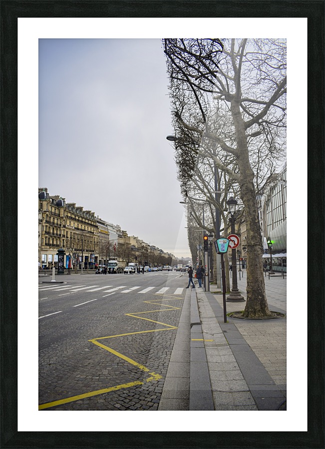 Paris in March Picture Frame print