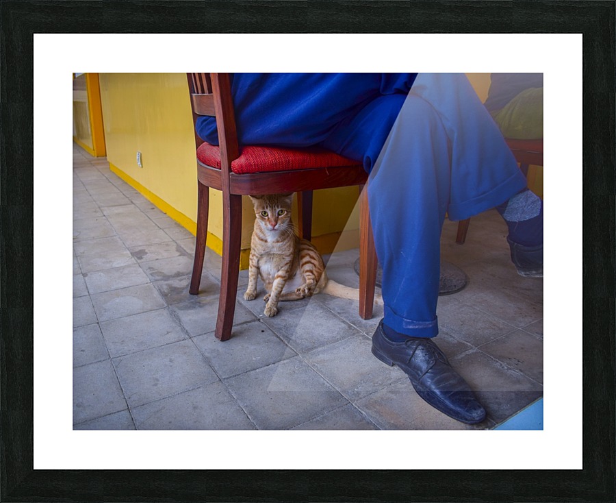 Under the Chair Picture Frame print