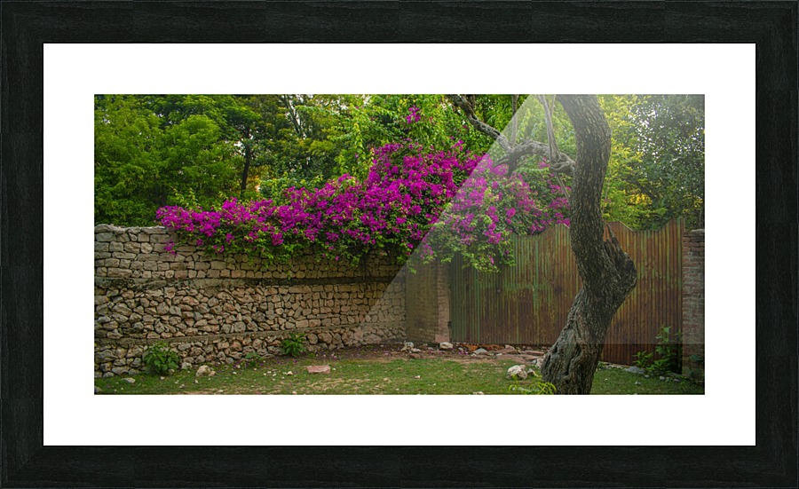 Abandoned House  Picture Frame print