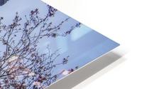 Floral Eiffel tower  HD Metal print