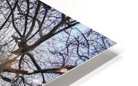 Paris in March HD Metal print