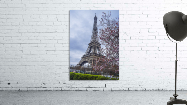 Floral Eiffel tower  Wall Preview