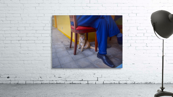 Under the Chair Wall Preview
