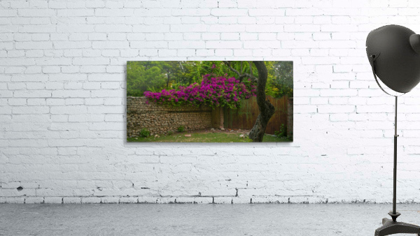 Abandoned House  Wall Preview