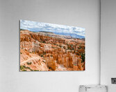 Bryce Amphitheater Acrylic Print