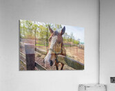 Lets Ride Acrylic Print