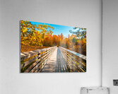 Autumn Bridge Acrylic Print