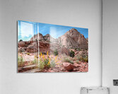 Capitol Reef Sandstone Acrylic Print