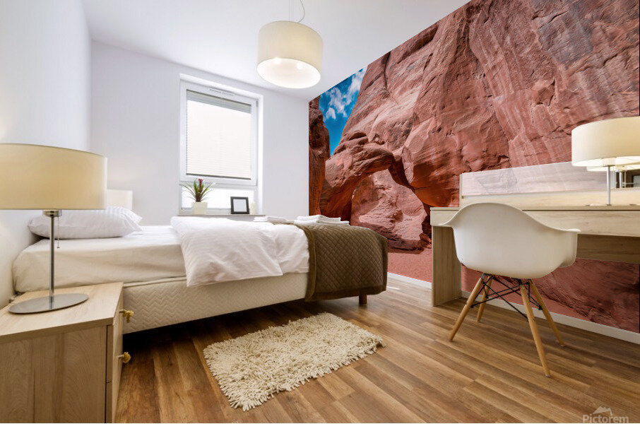 Sand Dune Arch Mural print