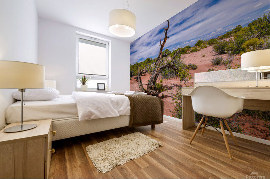 Utah Juniper Tree  Mural print