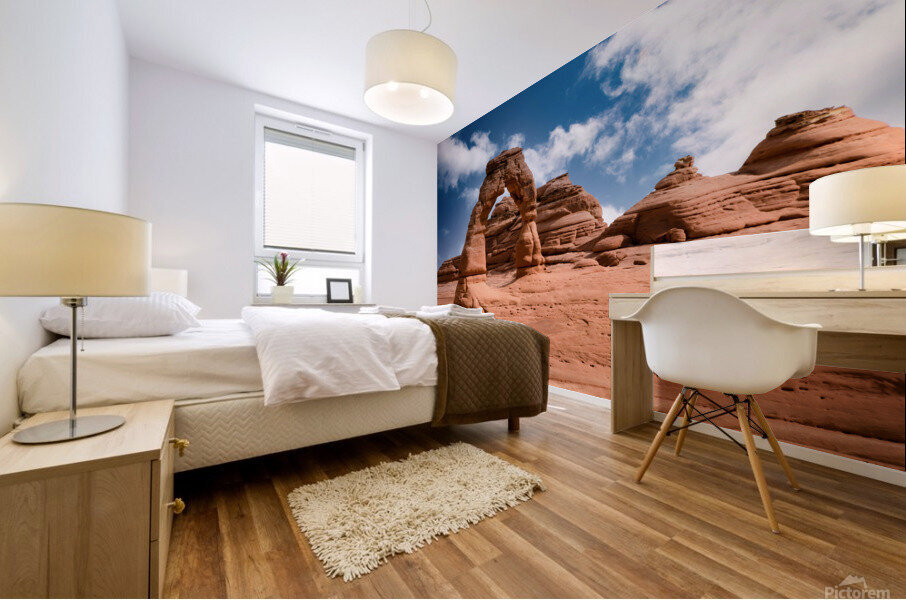 Delicate Arch Mural print
