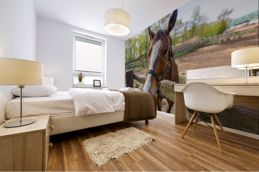 Lets Ride Mural print