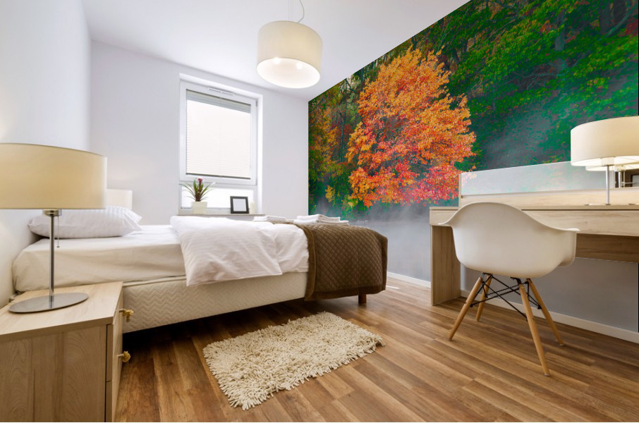 Misty Fall tree Mural print