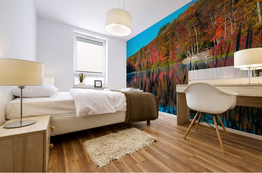 Autumn Lake Mural print