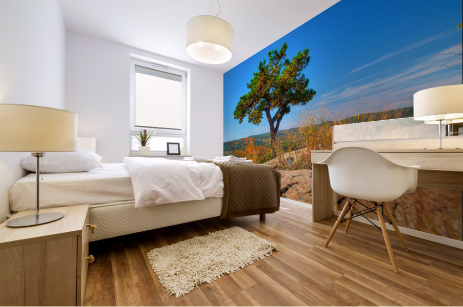 Autumn Tree Mural print