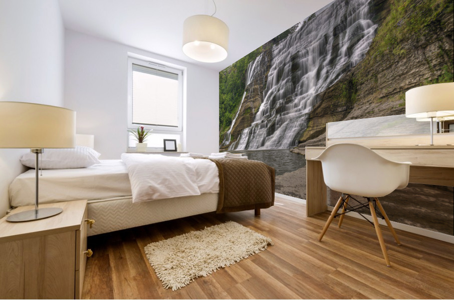 Ithaca Falls Mural print