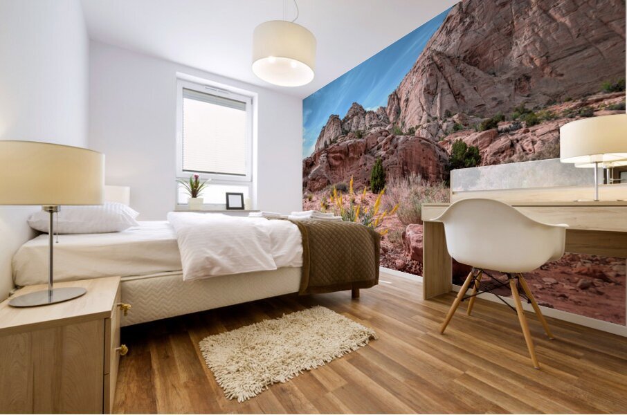 Capitol Reef Sandstone Mural print
