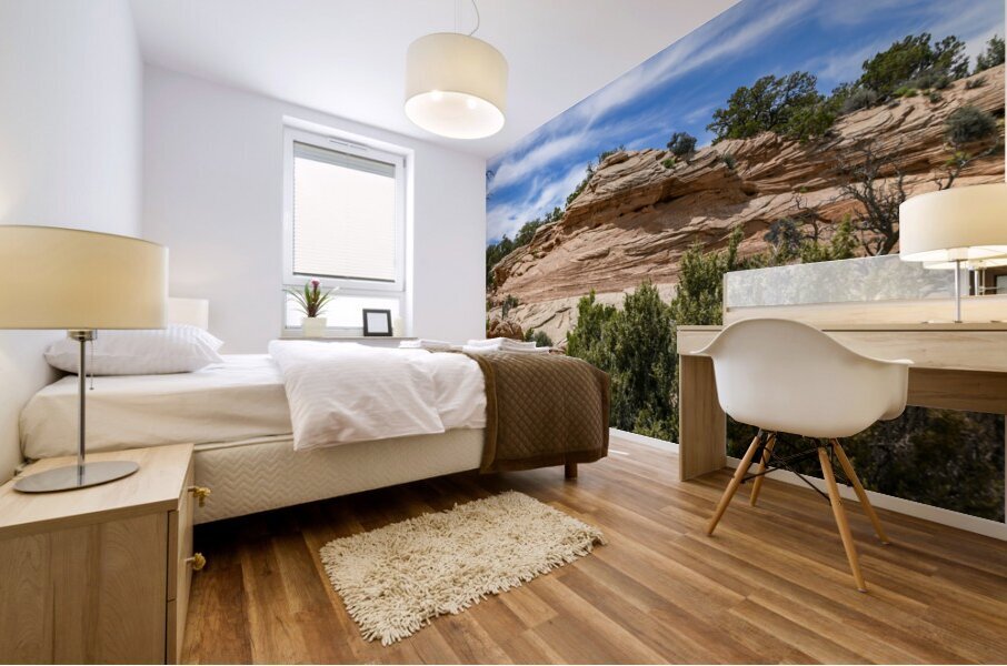 Utah Desert Sandstone Mural print