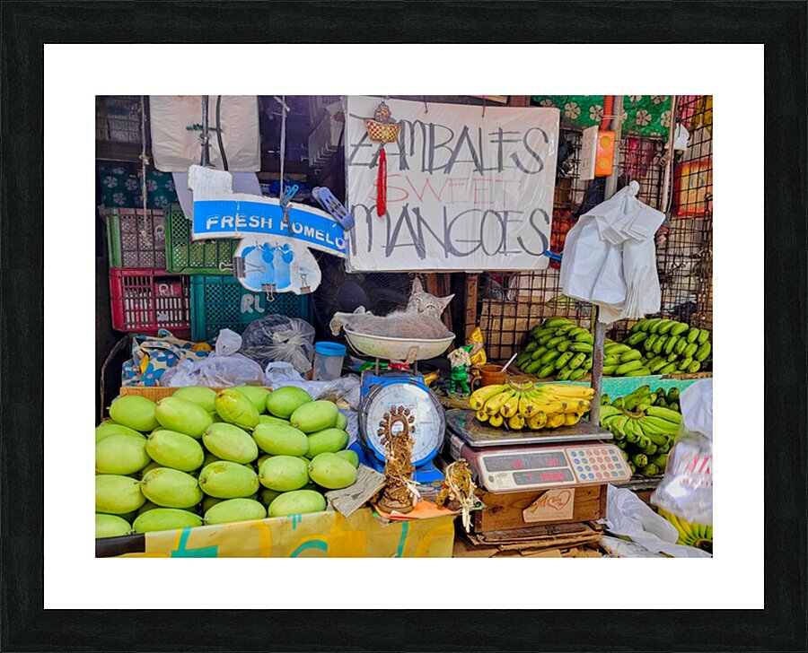  Fine Art print